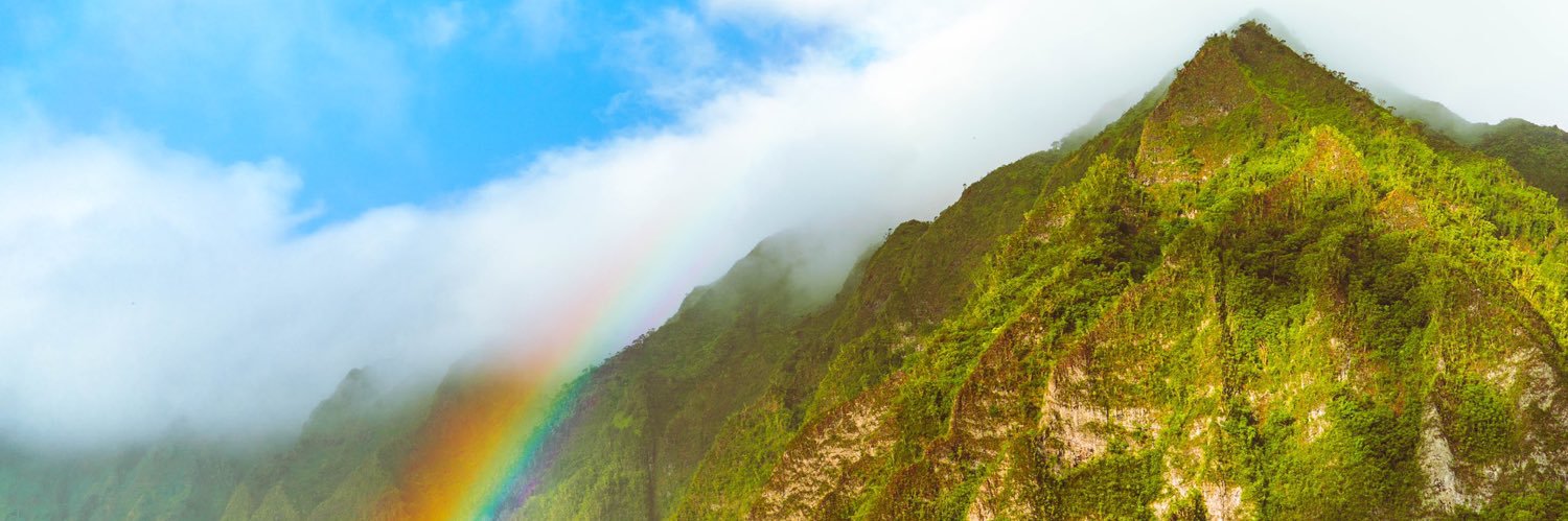 reneeenay's profile banner image