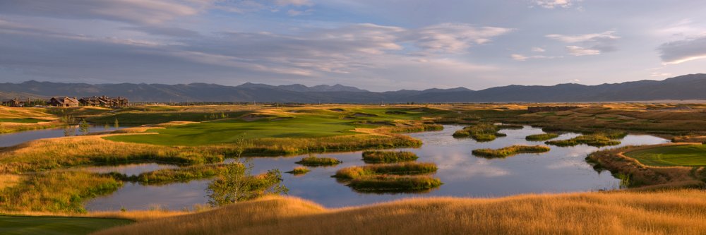 Jared Whitaker banner