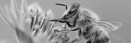 joel_minai's profile banner image