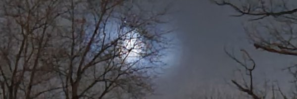 6d1fc5a495a24f7 Profile Banner