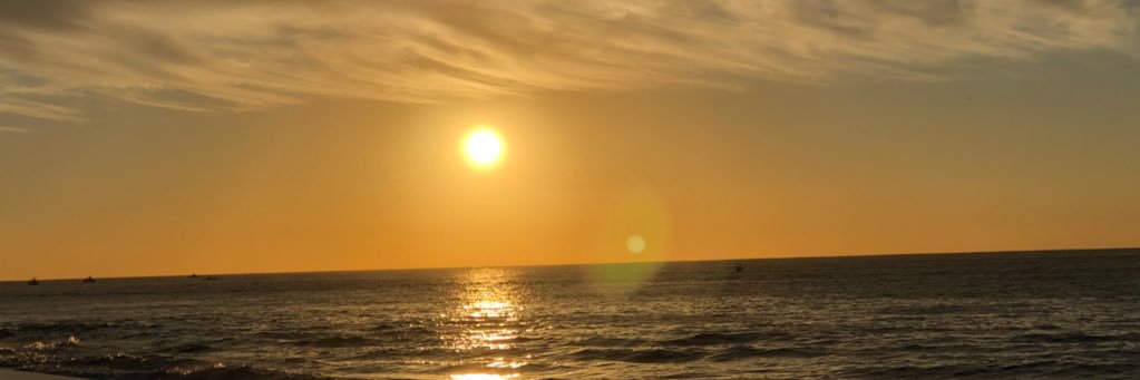 cotrone_b's profile banner image