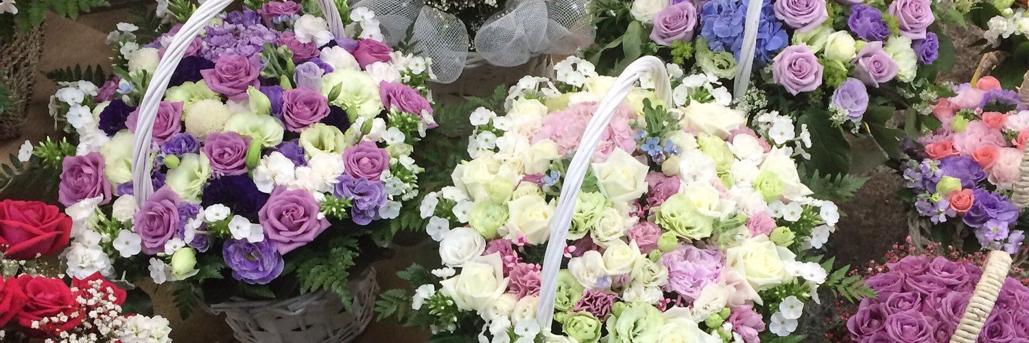 bi___sy's profile banner image