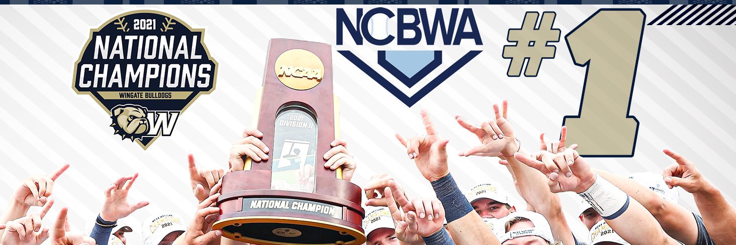Wingate Baseball's banner