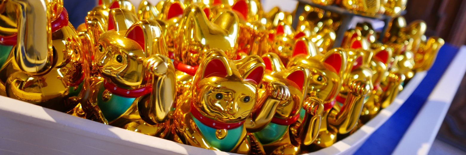 Karin Steinberger banner