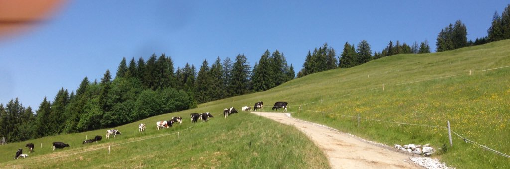 simonfuhrer's profile banner image