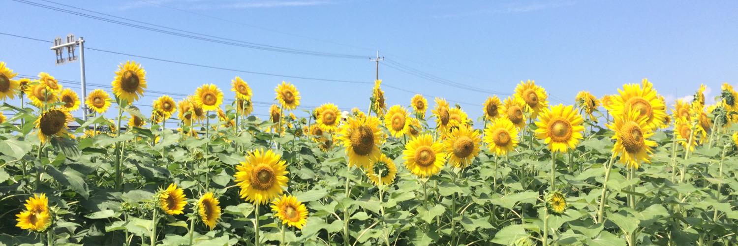 ske913's profile banner image
