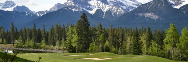 DadounDavid Profile Banner