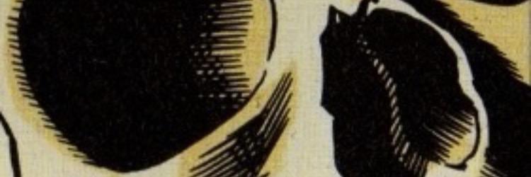morganxp_'s profile banner image