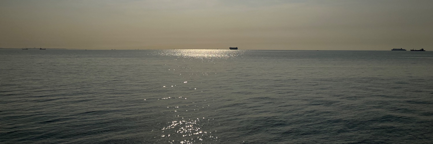 葛西敏彦 kasai toshihiko banner