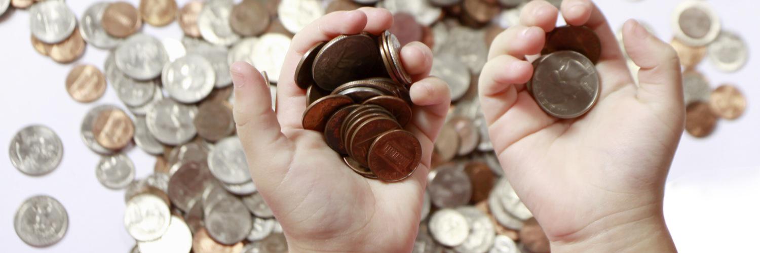 Friends Of Bryn Coch banner