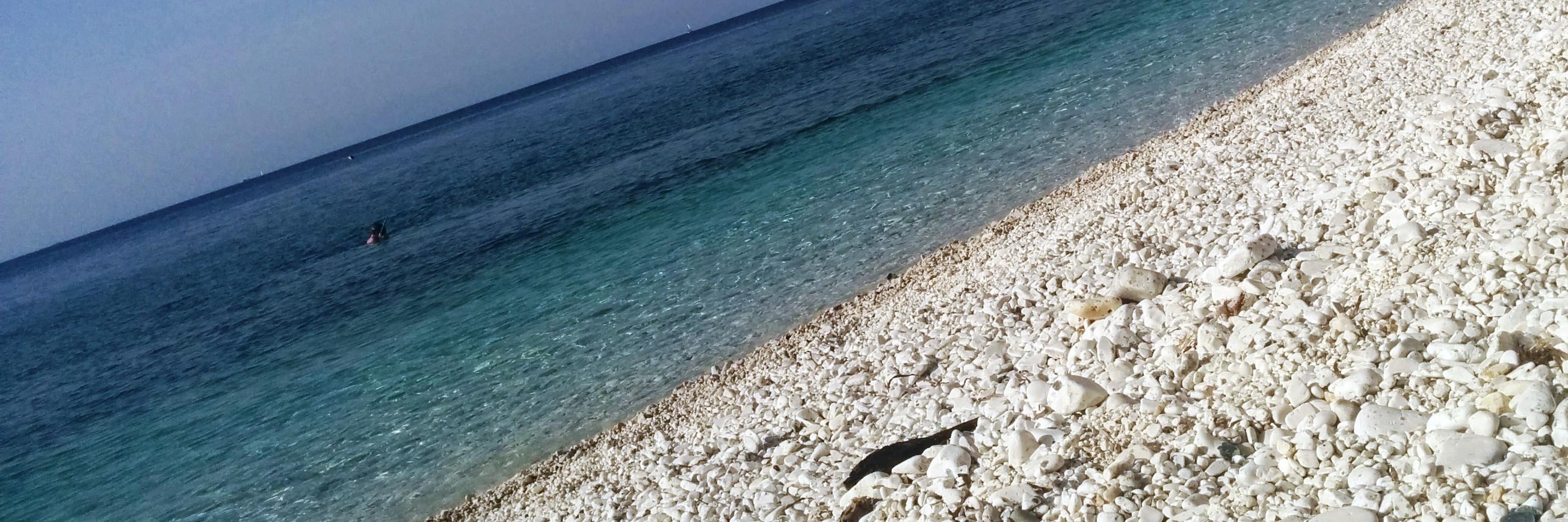talelbano's profile banner image