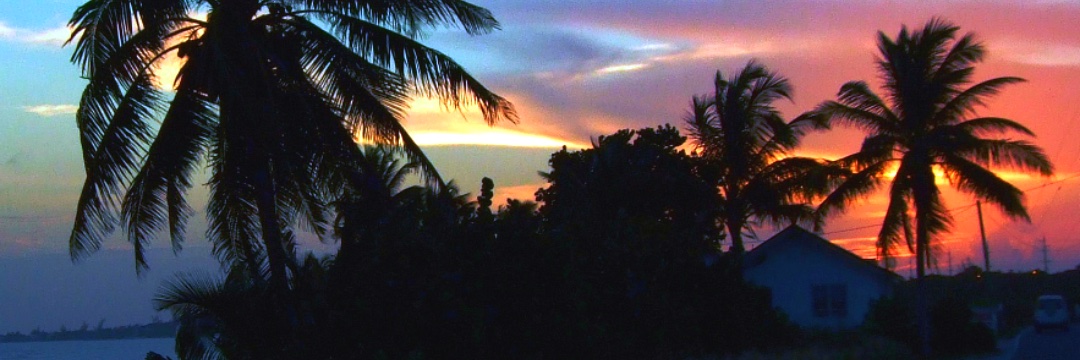 SpotCayman's profile banner image
