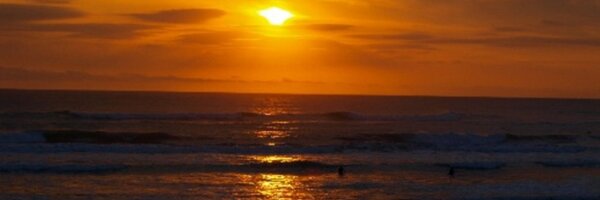 freddybo Profile Banner