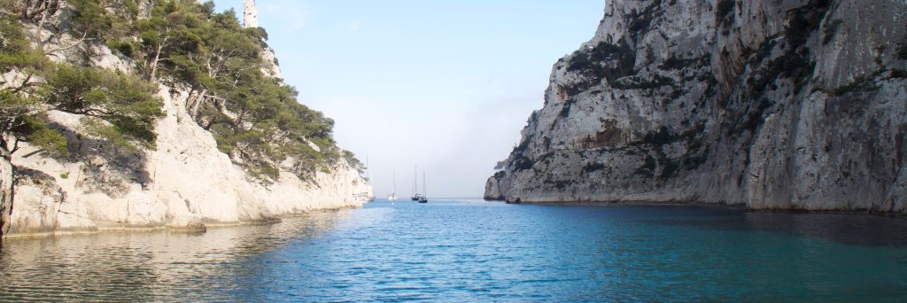 Carlos Guerrero banner