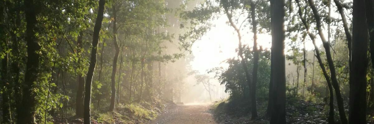 D4N13lCT's profile banner image