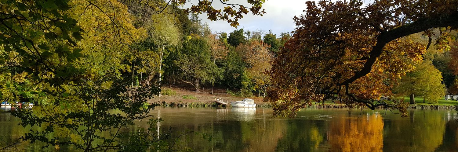 Steven Beaven banner