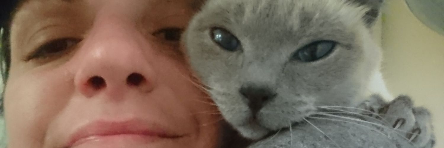 Bear_On_Speed's profile banner image
