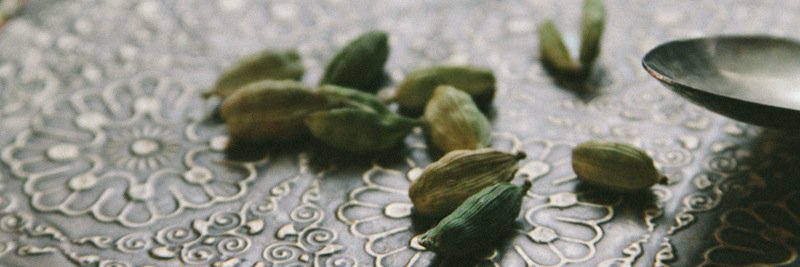 lil_mustardseed's profile banner image