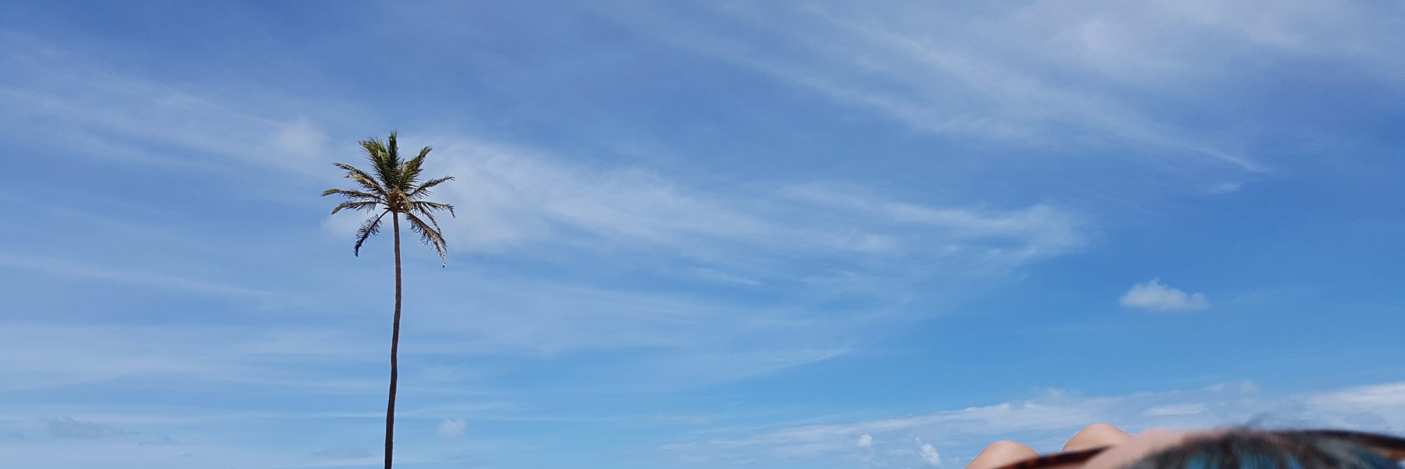 dharafabricio's profile banner image