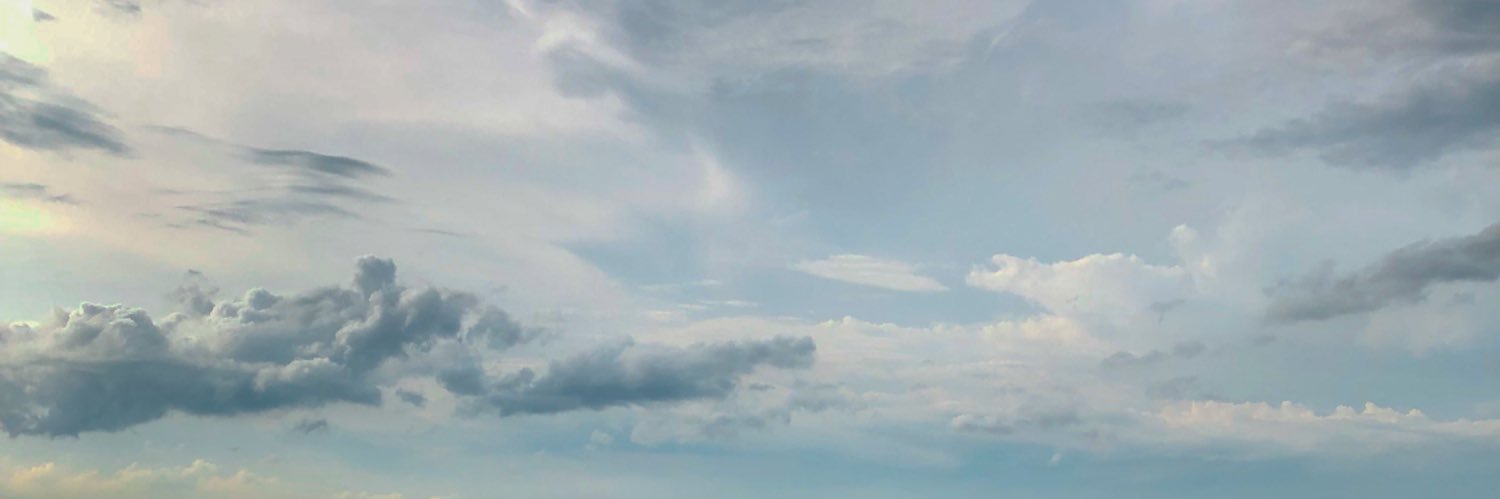 🍅 banner