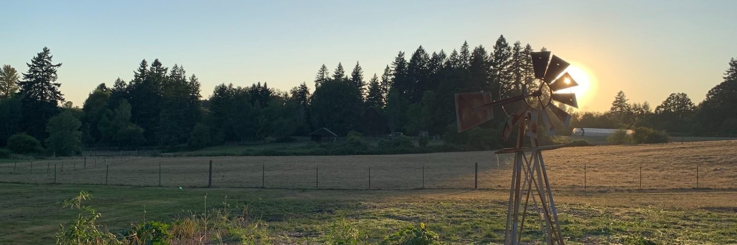 Kristi Campbell banner