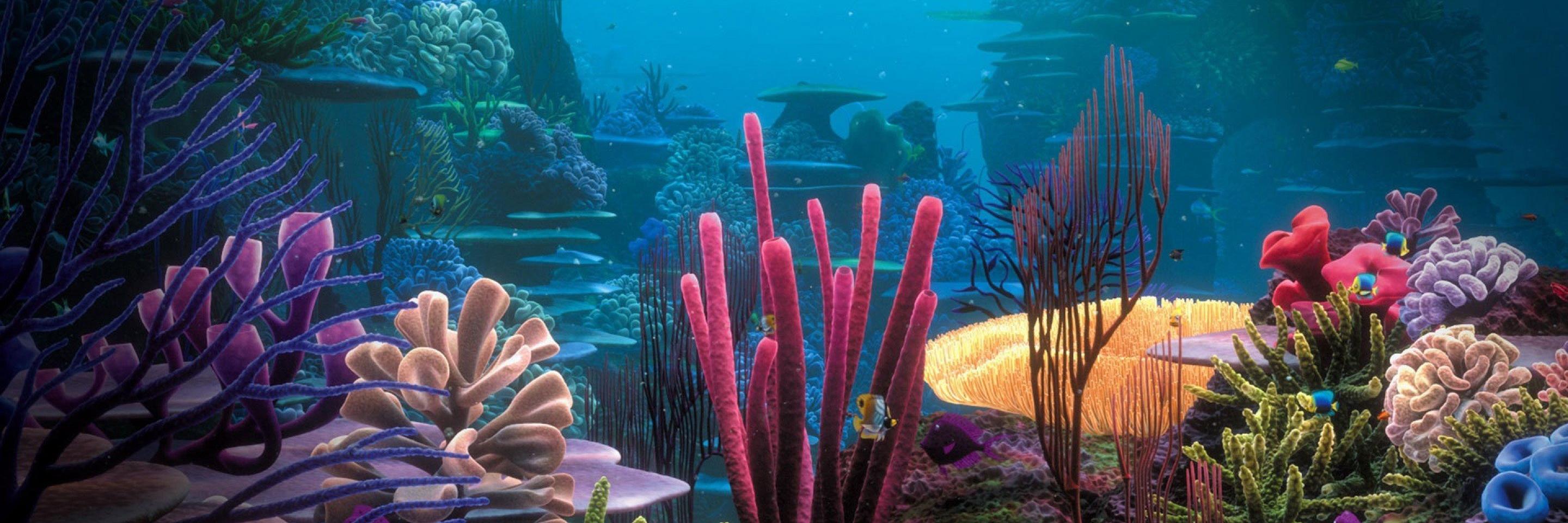 HiIariousDory's profile banner image