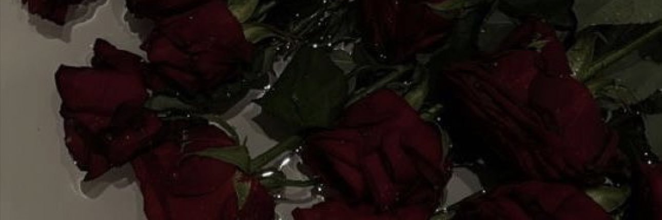 nevaehcstro's profile banner image