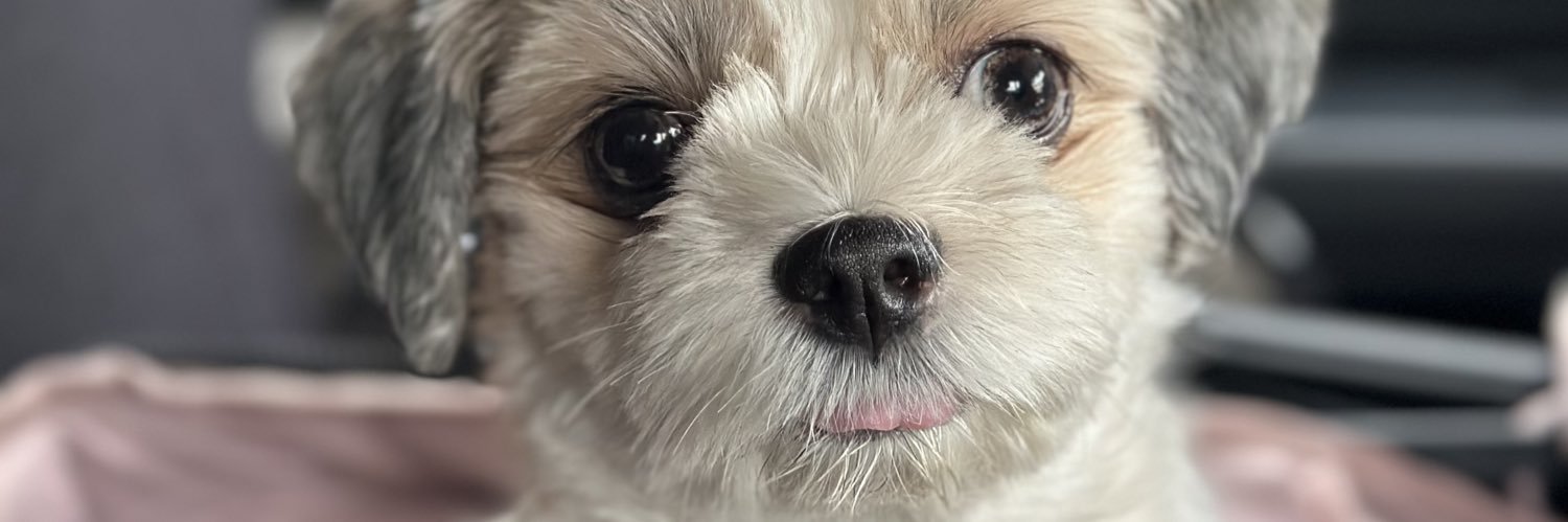 chrizellejude's profile banner image