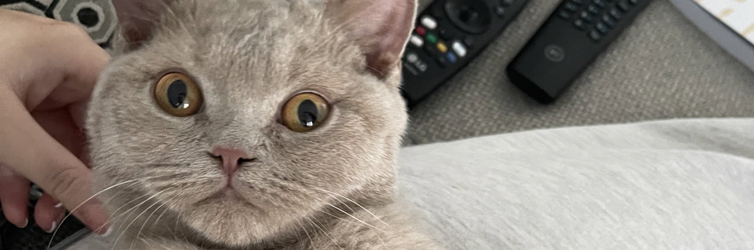 lozoatley's profile banner image