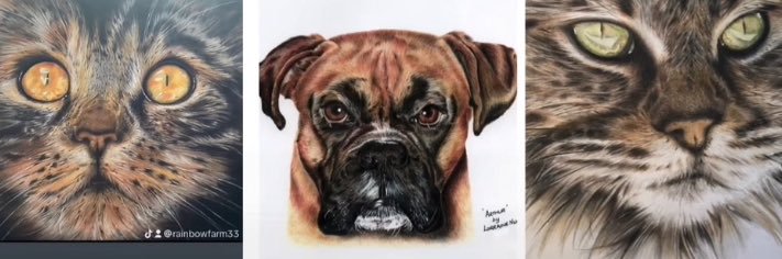 lorraine_nulty's profile banner image