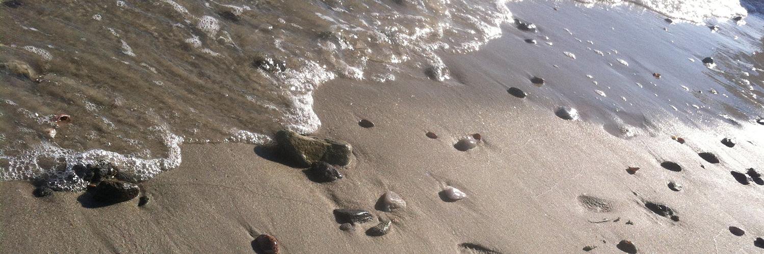 David Crowley banner