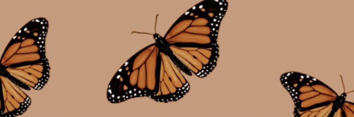 loscalise21's profile banner image