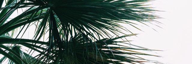 cquilag's profile banner image