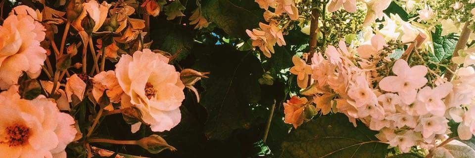MikaAM0340's profile banner image
