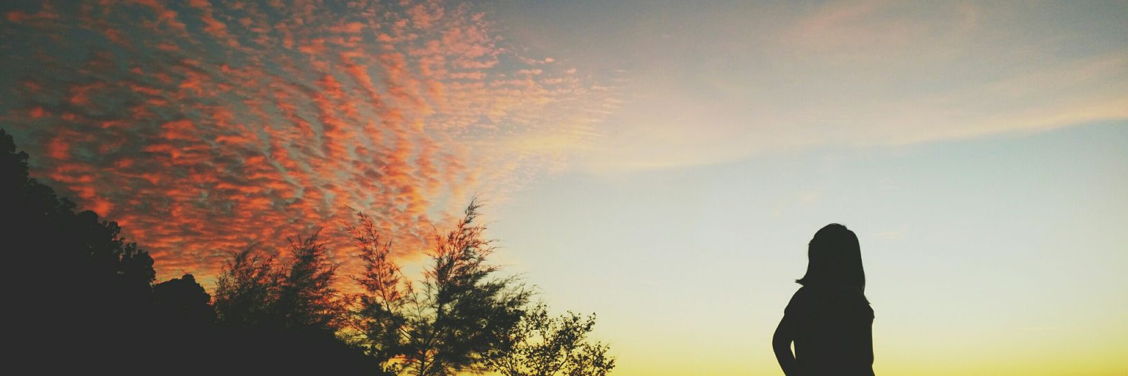 alinamita's profile banner image