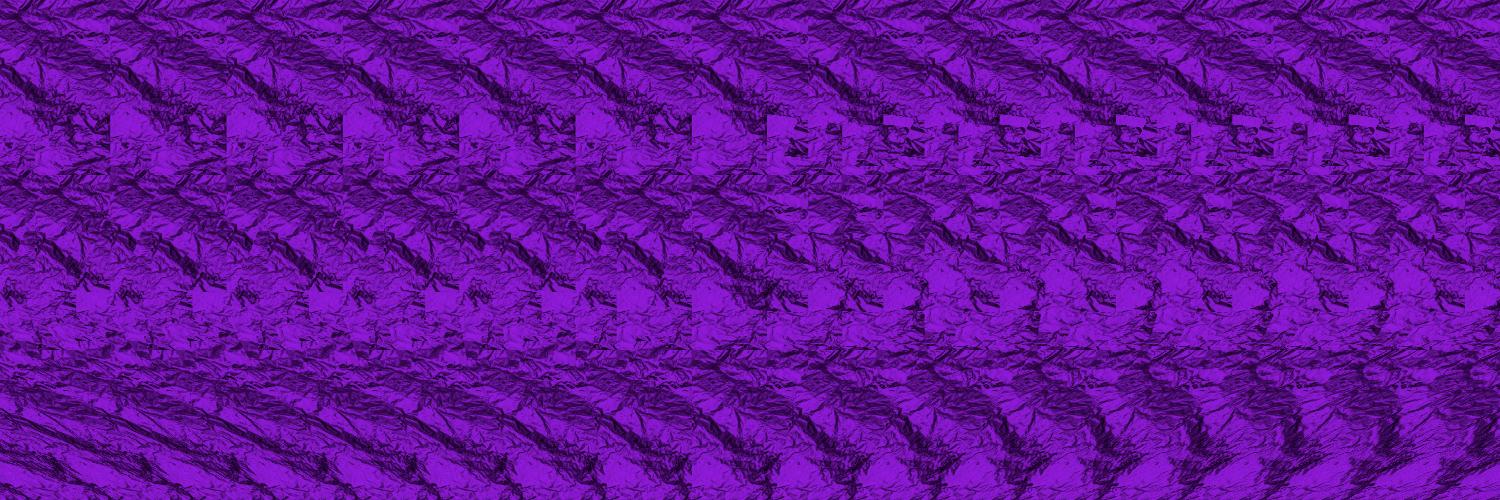 Thomas [Everyone is Satoshi. Except CSW] banner