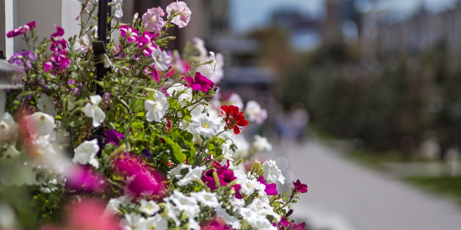 rustem108's profile banner image