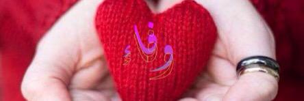 AlWafaTrainingg's profile banner image