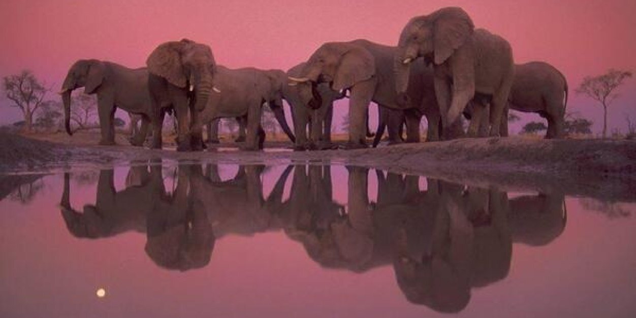 LidiaVeal's profile banner image