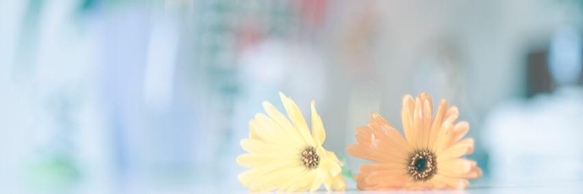 Semo0o0oo's profile banner image