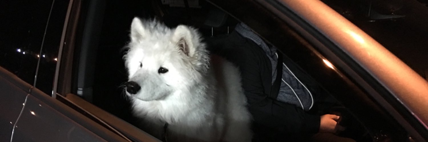 vesclare_'s profile banner image