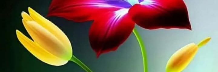 Aber_Sabil70's profile banner image