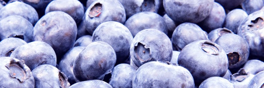 GrosellaJelly's profile banner image