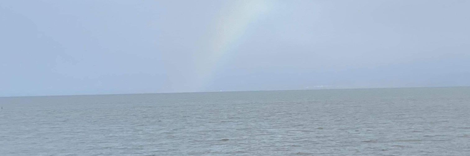 starrymaire's profile banner image