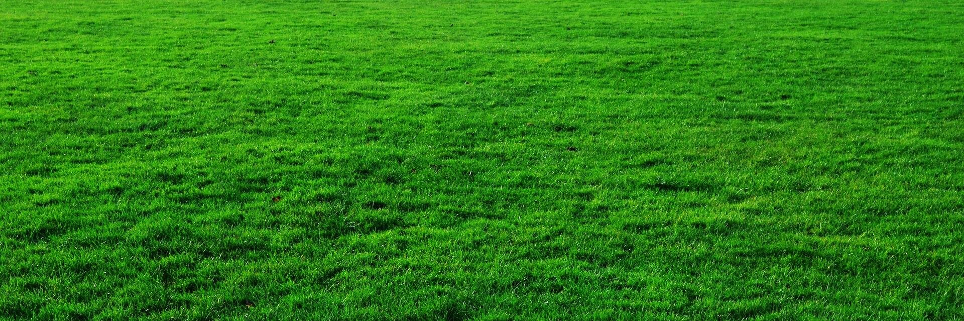 sammywagner's profile banner image