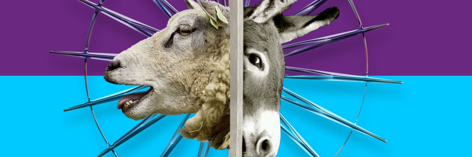 Carvini40's profile banner image