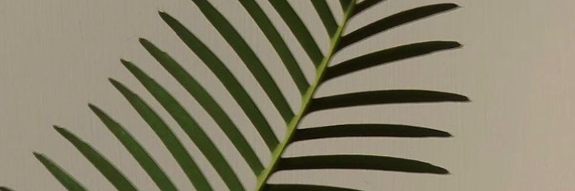 moastoy's profile banner image