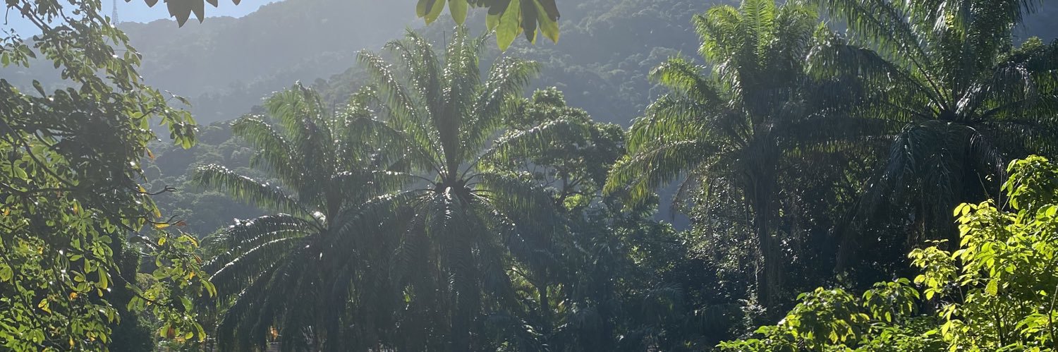 Leticia Divine banner