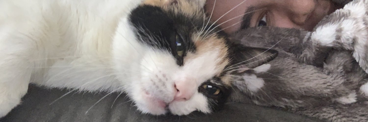 cbarksss's profile banner image