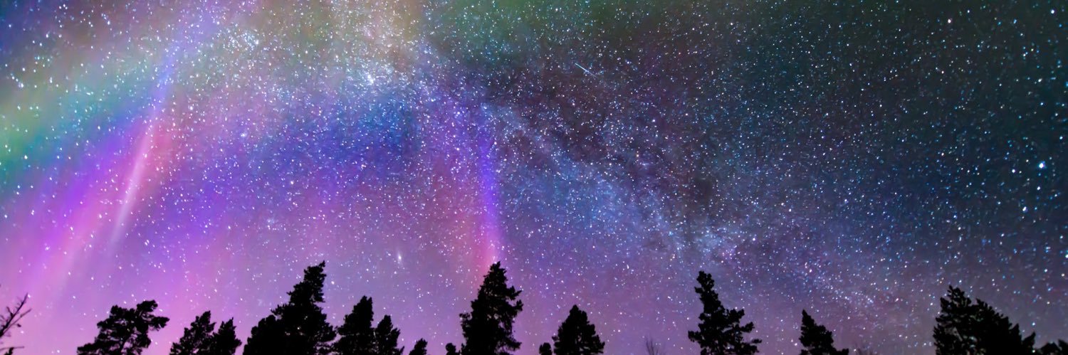 laly_x's profile banner image